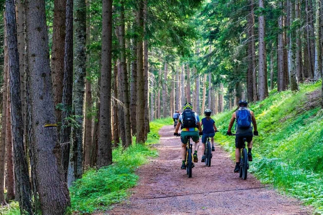 E biking forest